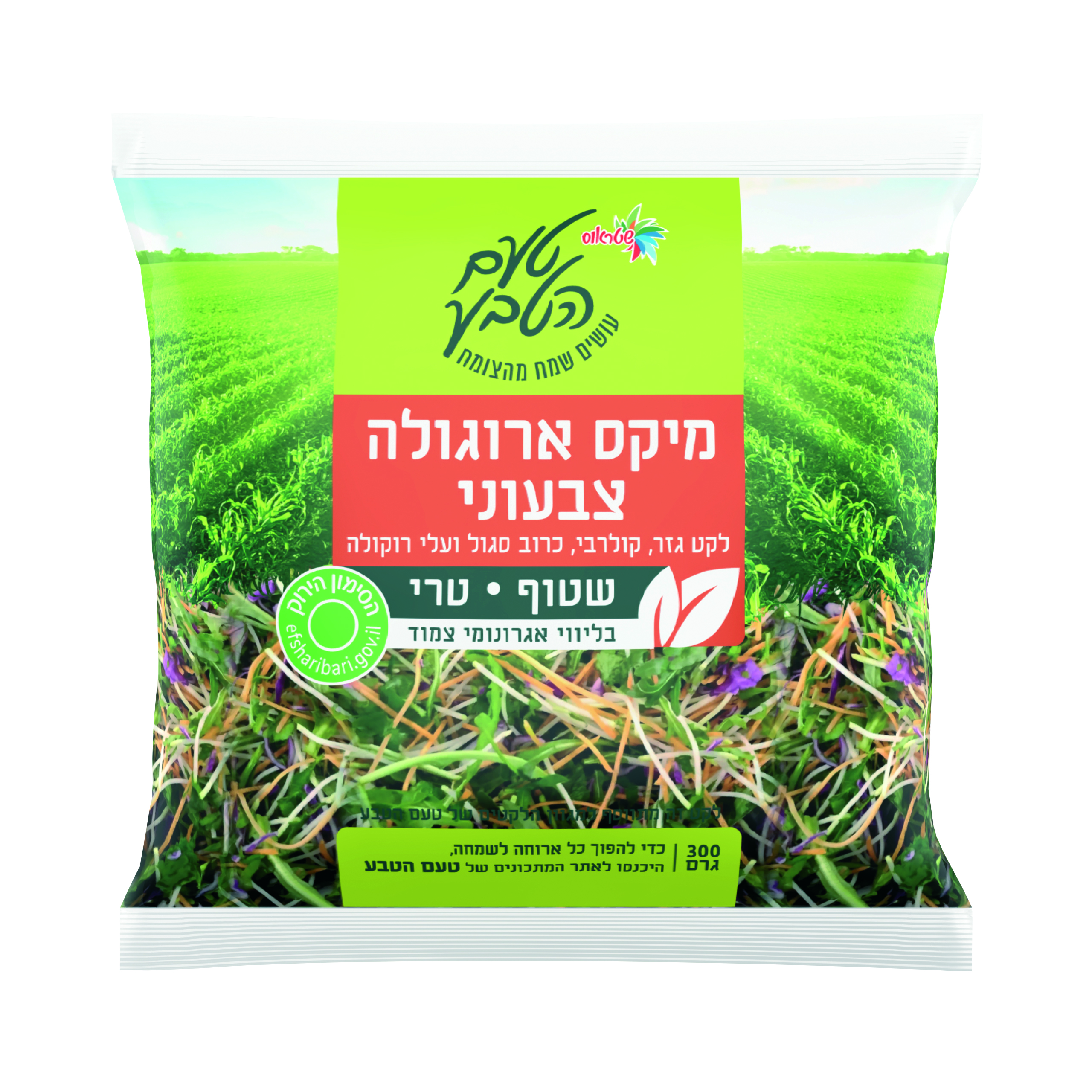 מיקס ארוגולה צבעוני 300 גר'