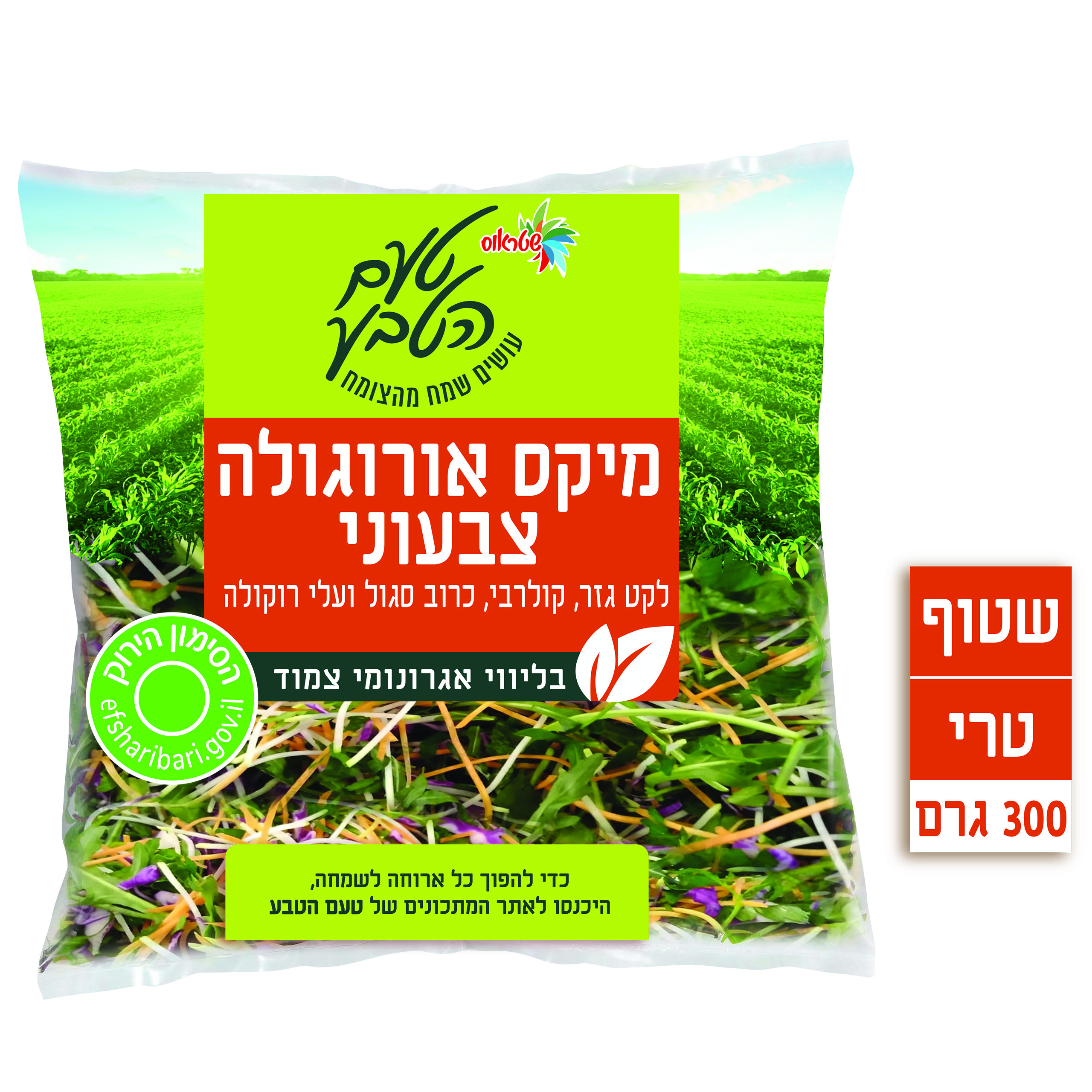 מיקס ארוגולה צבעוני 300 גר'