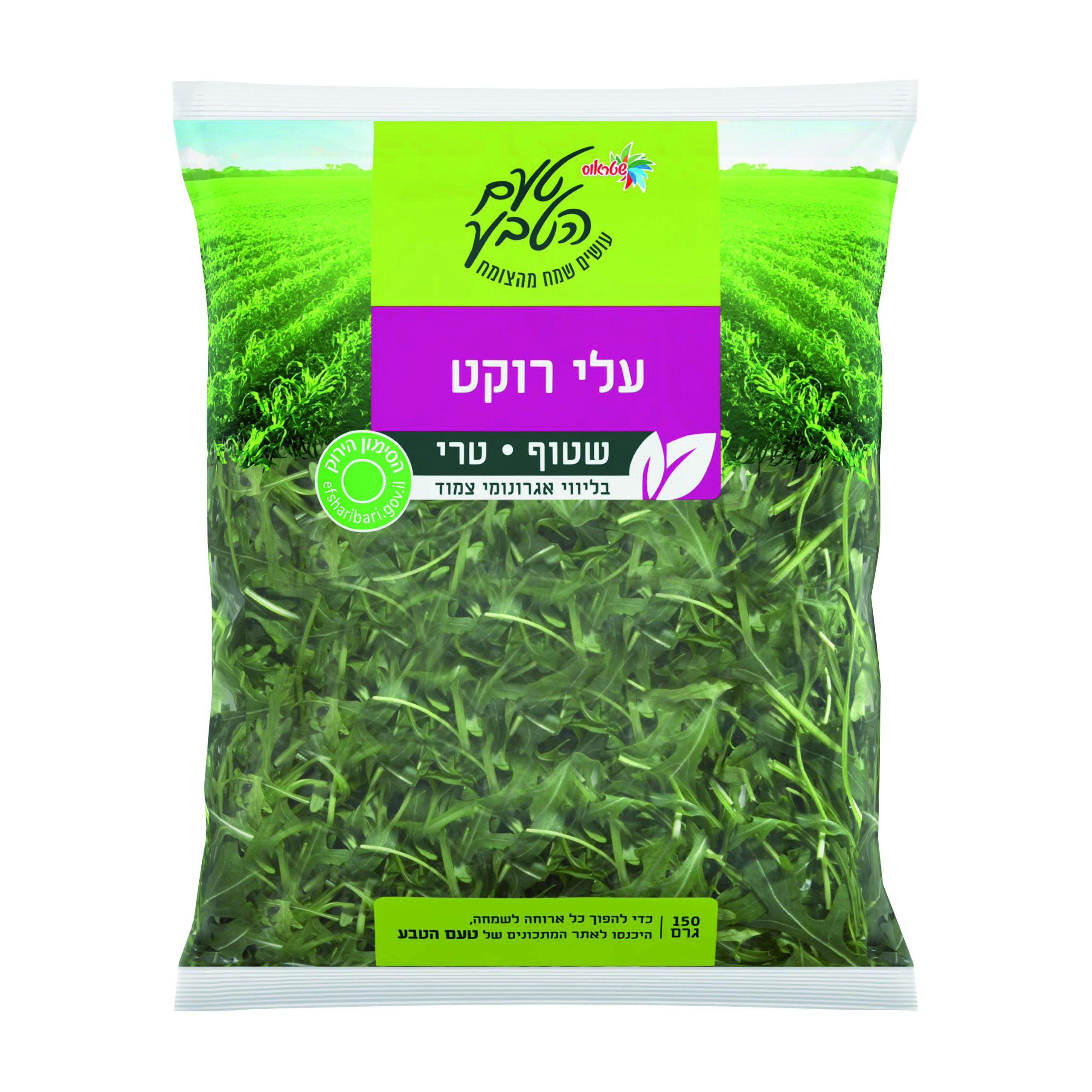עלי רוקט שטראוס