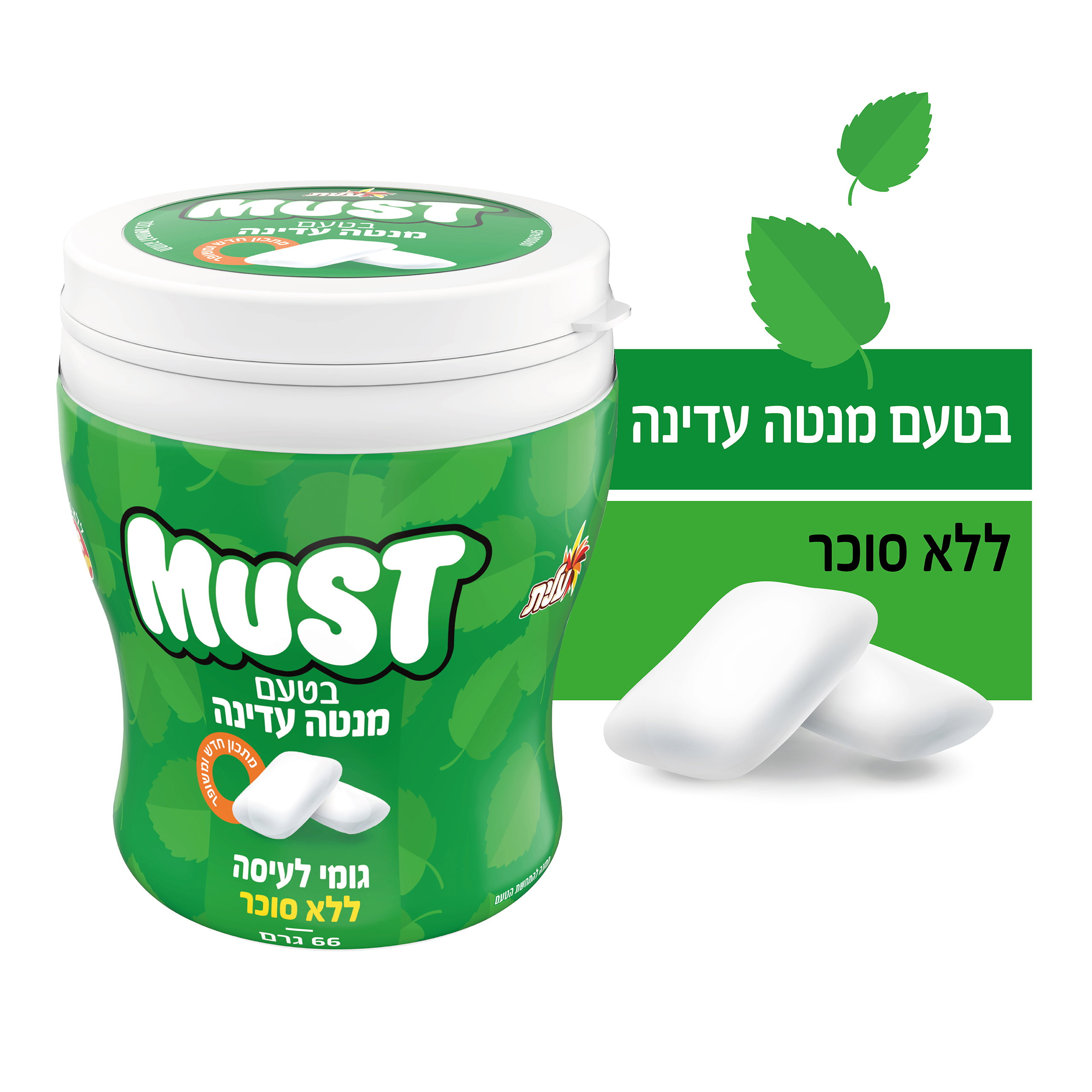 צנצנת מנטה עדינה ללס 66 גר